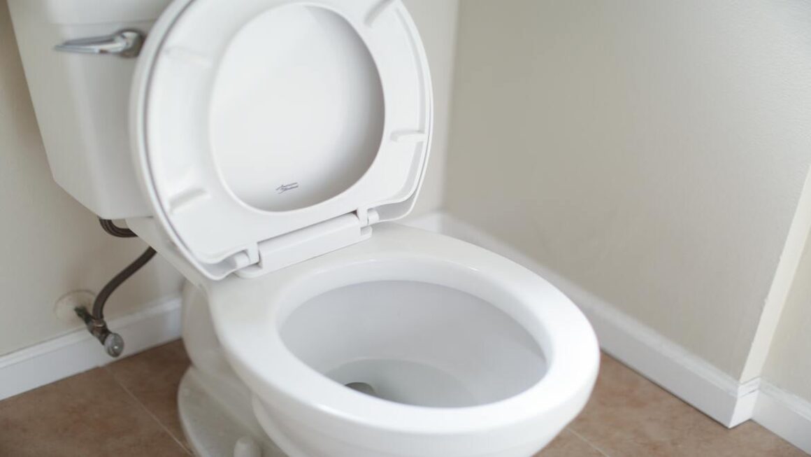 brown-water-in-the-toilet-how-to-fix-it-old-to-new-homes