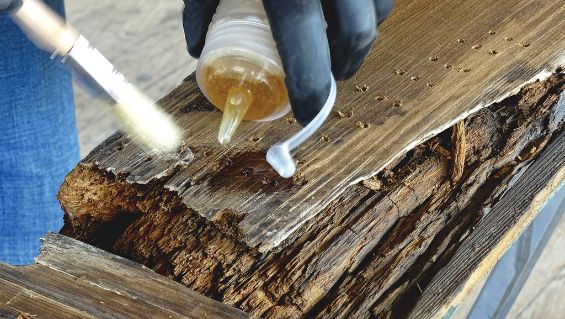 wood rot repairs