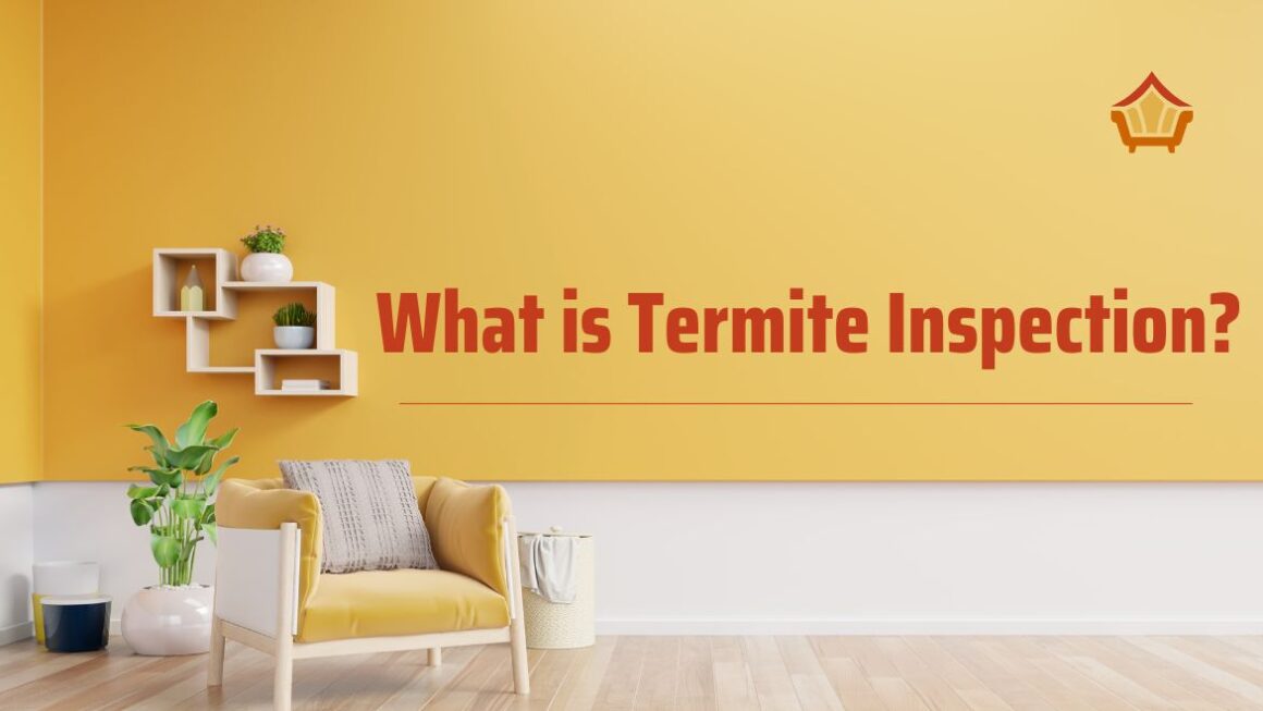 What Is Termite Inspection? A Complete Guide - Old To New Homes