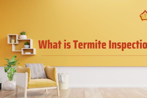What is Termite Inspection? a Complete Guide